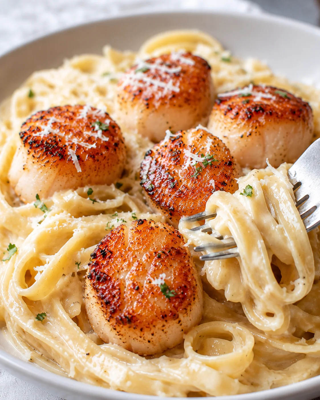 Close-up of perfectly seared scallops served over creamy pasta with Parmesan