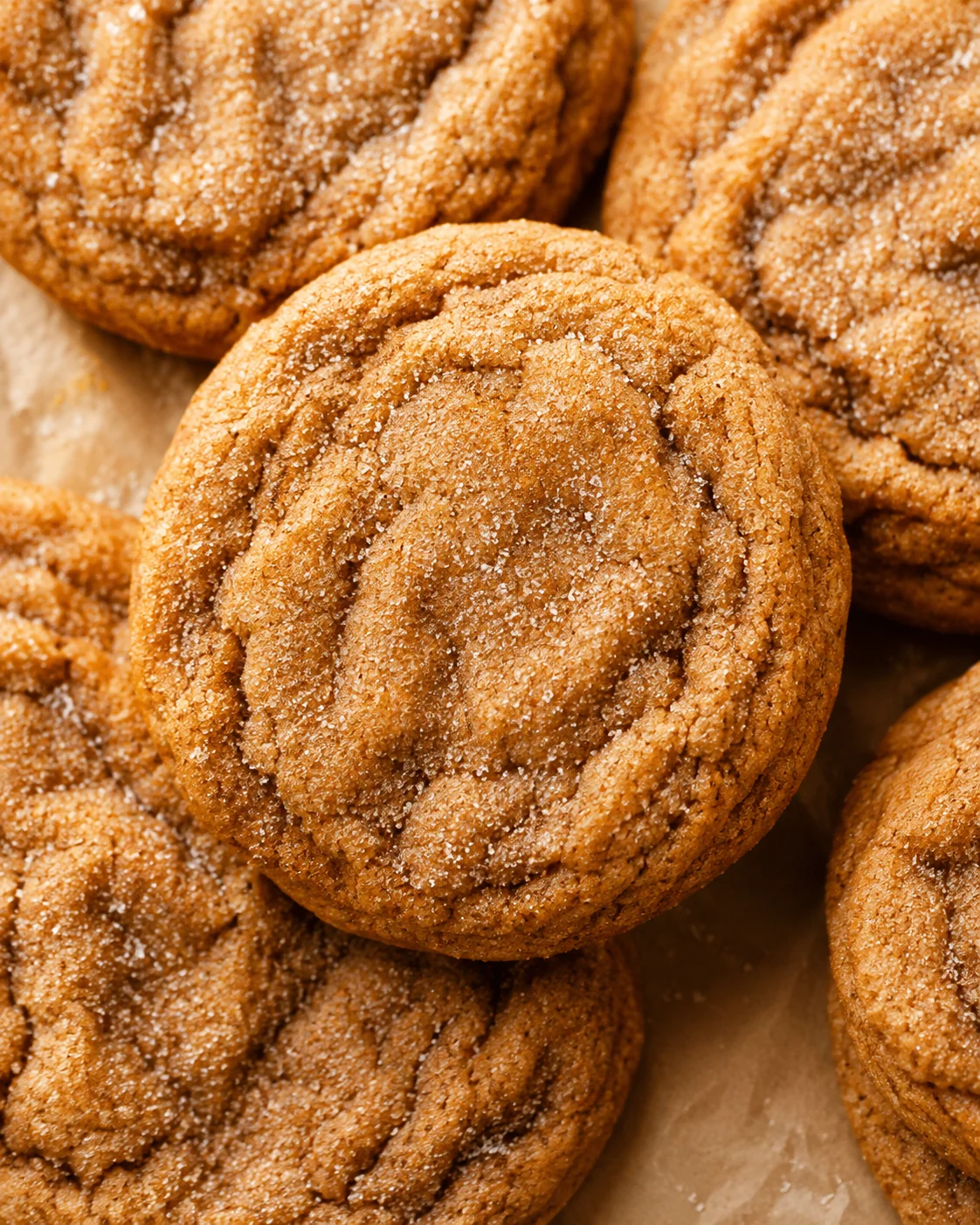 Close-up of freshly baked, chewy pumpkin snickerdoodle cookies with cinnamon sugar coating.